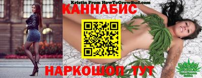 альфа пвп Камышлов