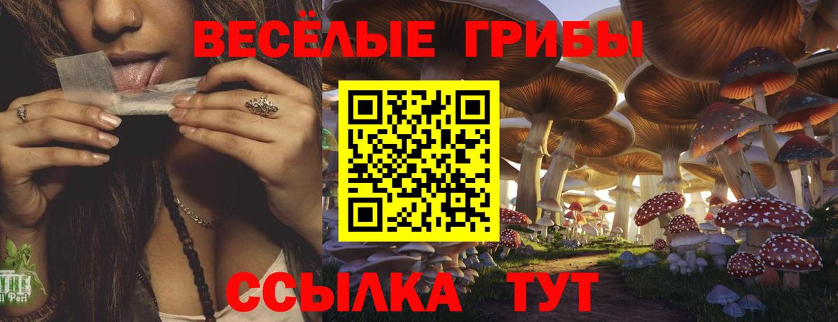 Псилоцибиновые грибы Cubensis  Вход с VPN  Кудымкар  Галлюциногенные грибы MAGIC MUSHROOMS 